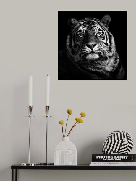 Tiger Poster och Canvastavla