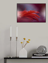Red Passion... Poster och Canvastavla