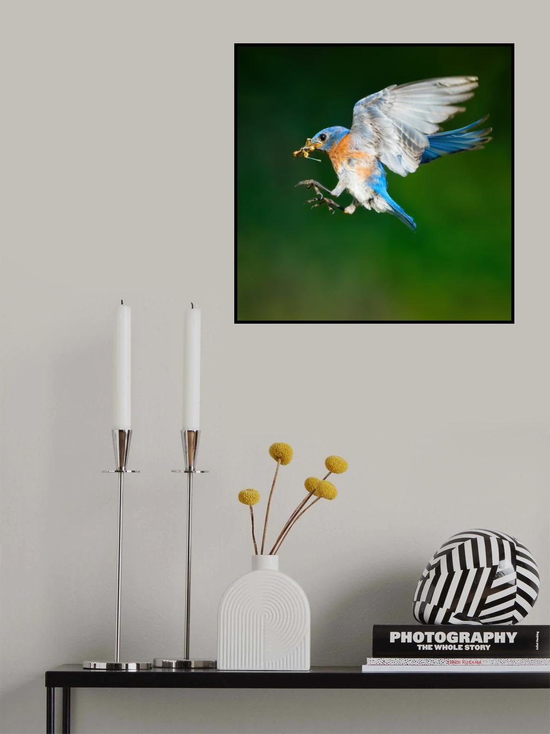 Ready for Landing Poster och Canvastavla