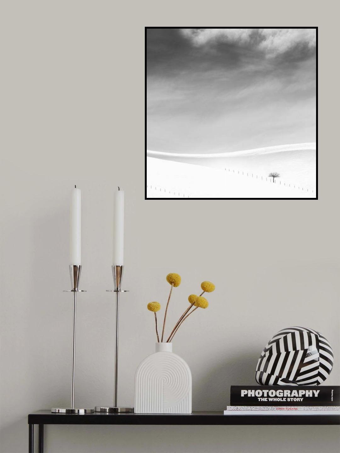 Single tree Poster och Canvastavla