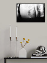 Jungle Poster och Canvastavla