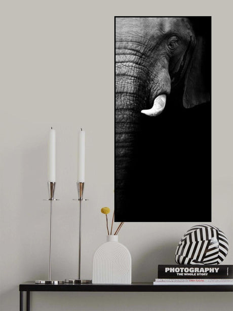Elephant Portrait Poster och Canvastavla