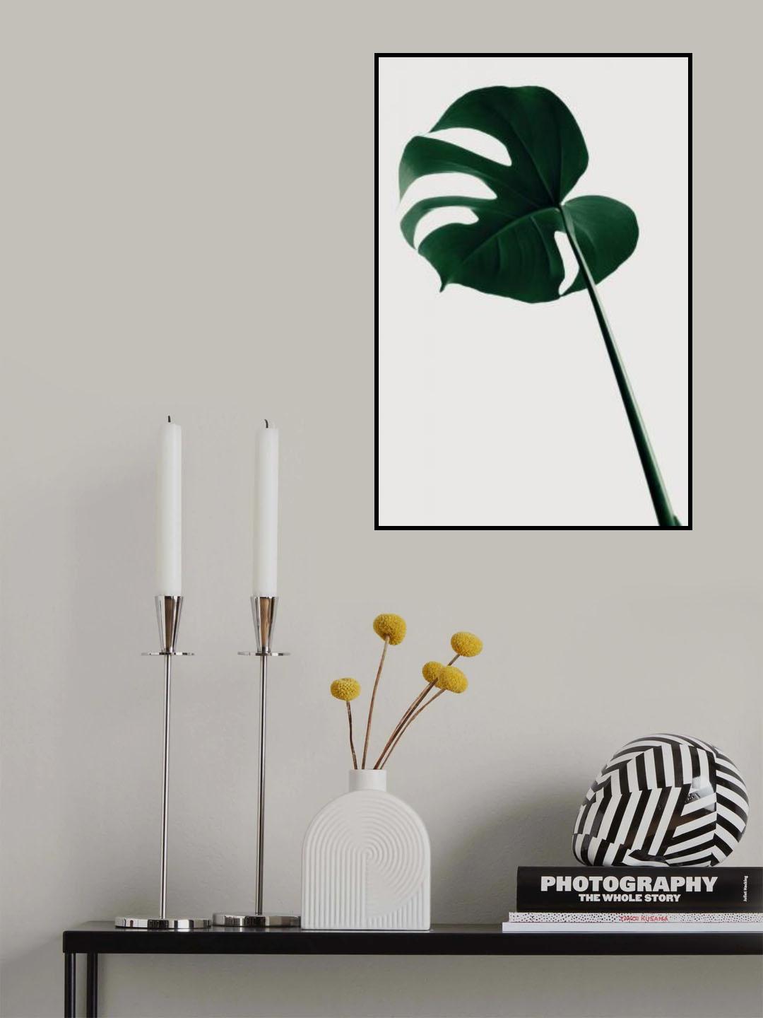 Monstera Natural 40 Poster och Canvastavla