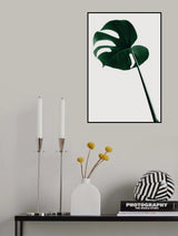 Monstera Natural 40 Poster och Canvastavla