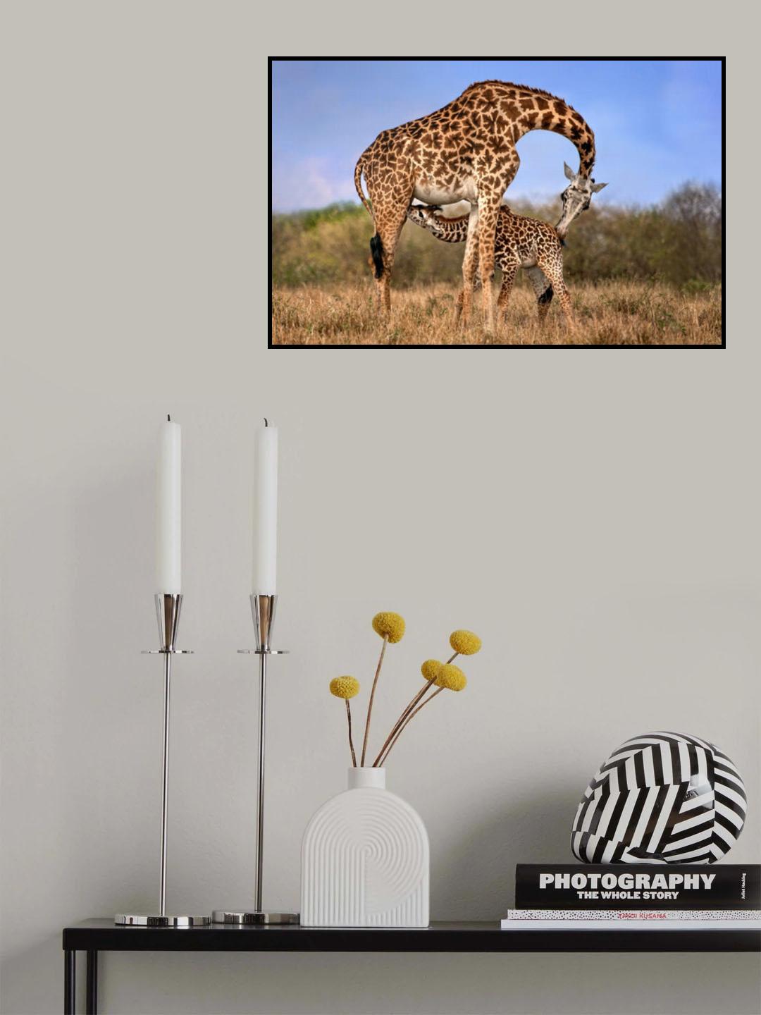 Giraffe with cup Poster och Canvastavla