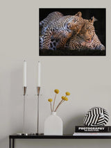 Bothering Mom Poster och Canvastavla