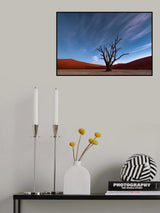 Deadvlei at dusk Poster och Canvastavla