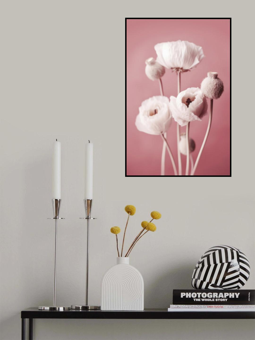 White Poppy On Pink Background Poster och Canvastavla