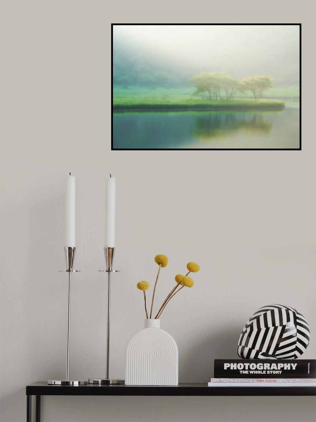 Trees in the morning sunlight #3 Poster och Canvastavla