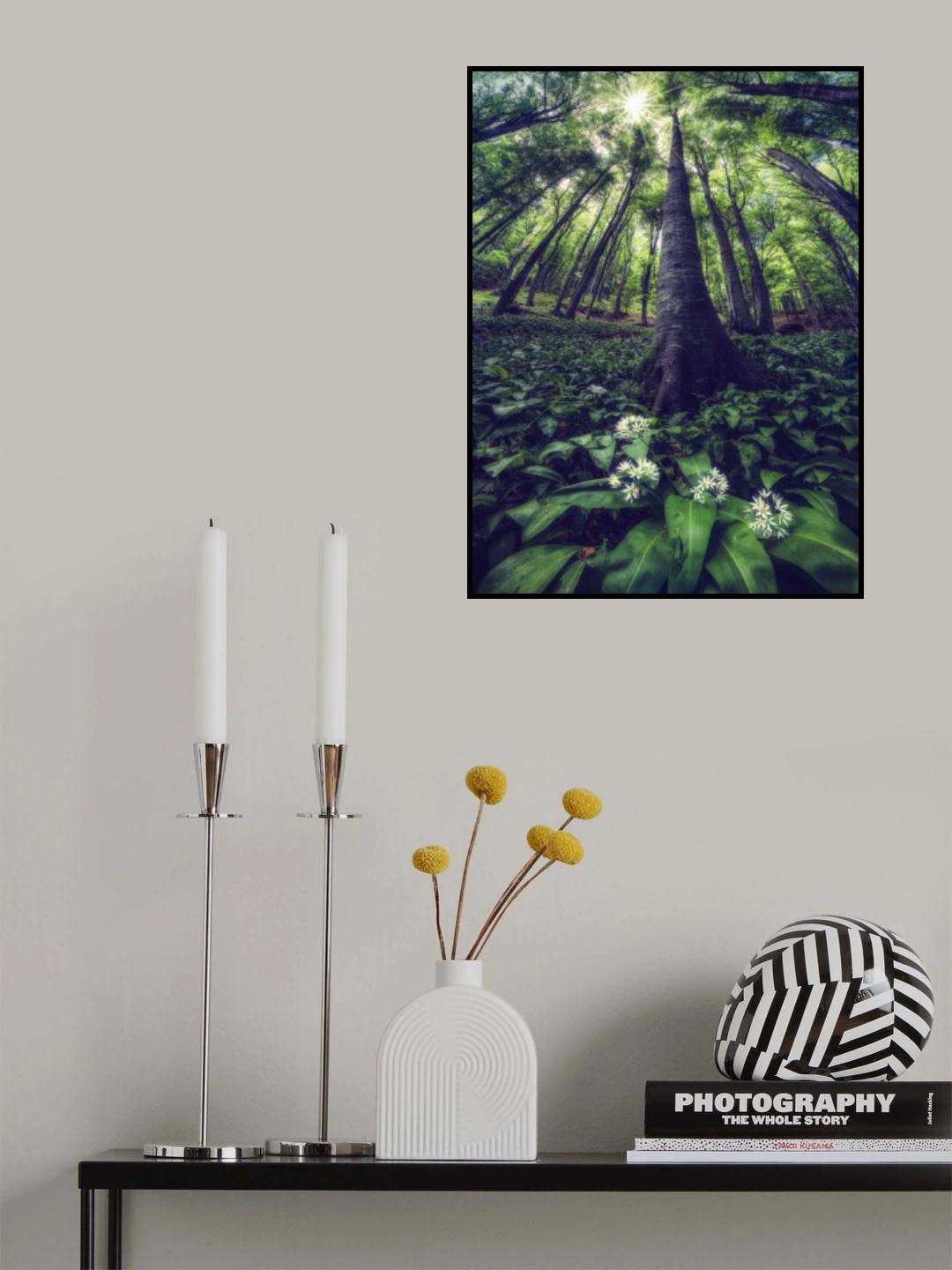 Into the wild Poster och Canvastavla