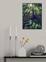 Into the wild Poster och Canvastavla