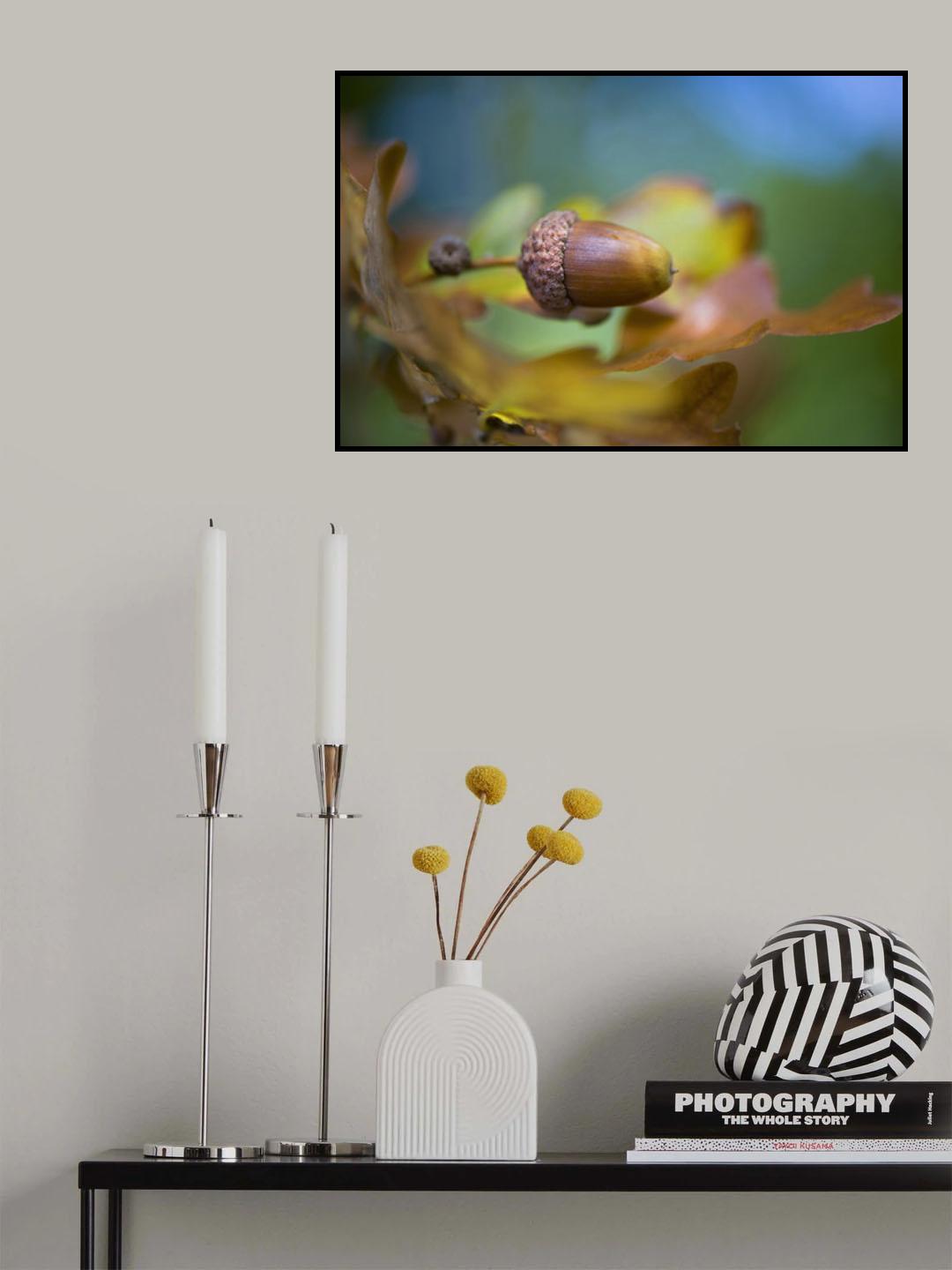 From little Acorns Poster och Canvastavla