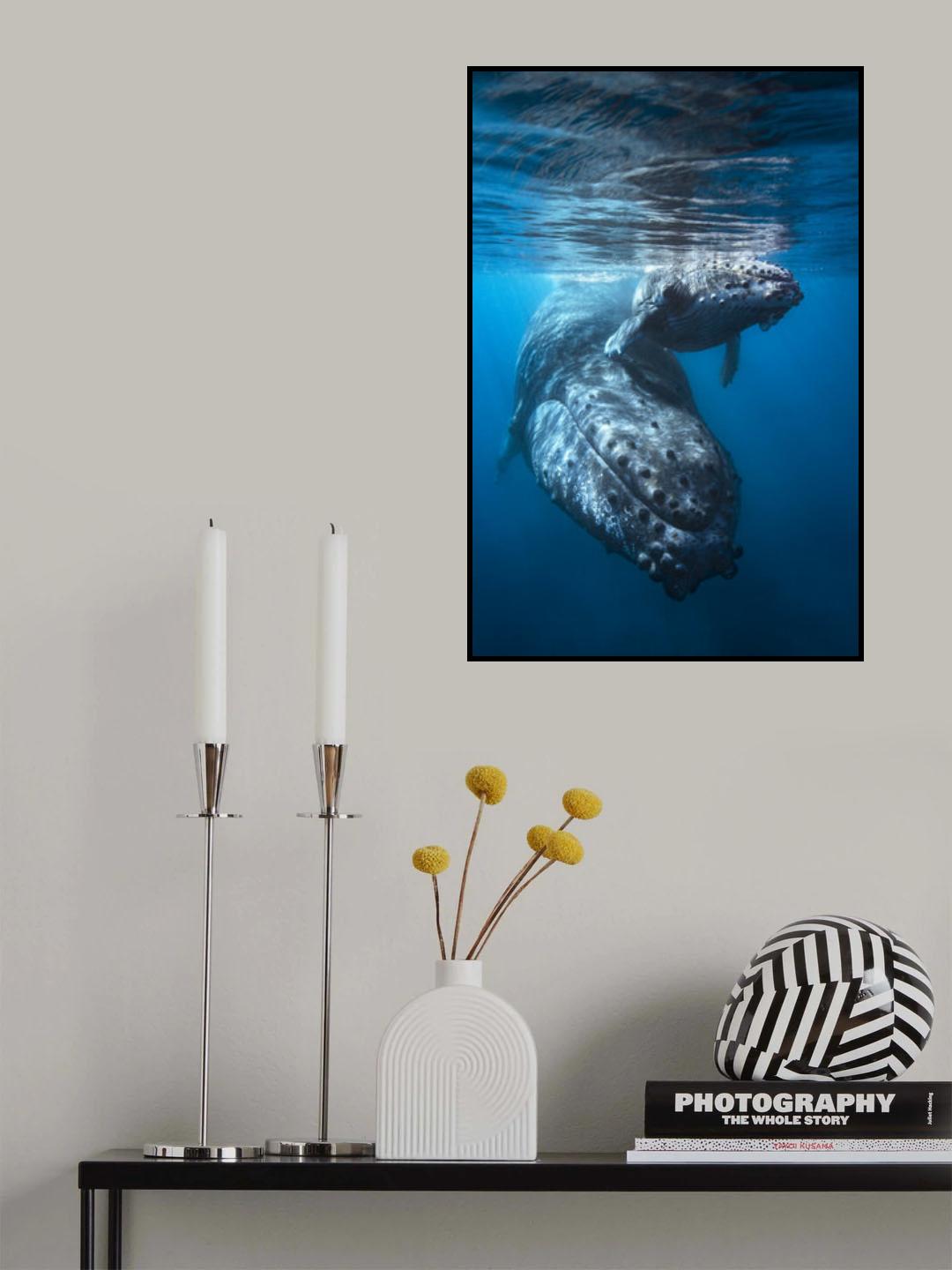 Giant of the sea!!! Poster och Canvastavla