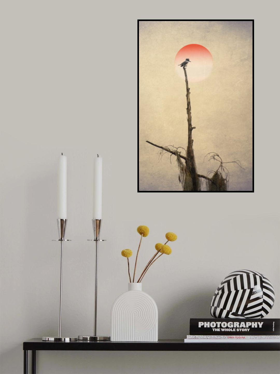 Pictorial Photography  Kingfisher Poster och Canvastavla