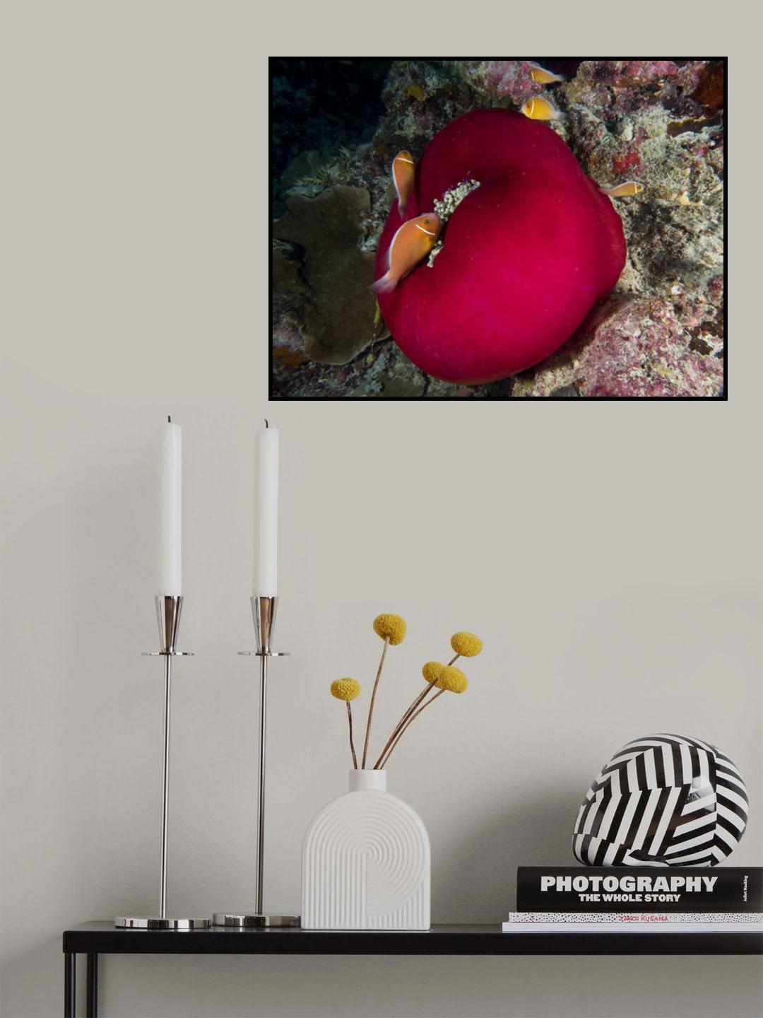 Underwater Tomato Poster och Canvastavla
