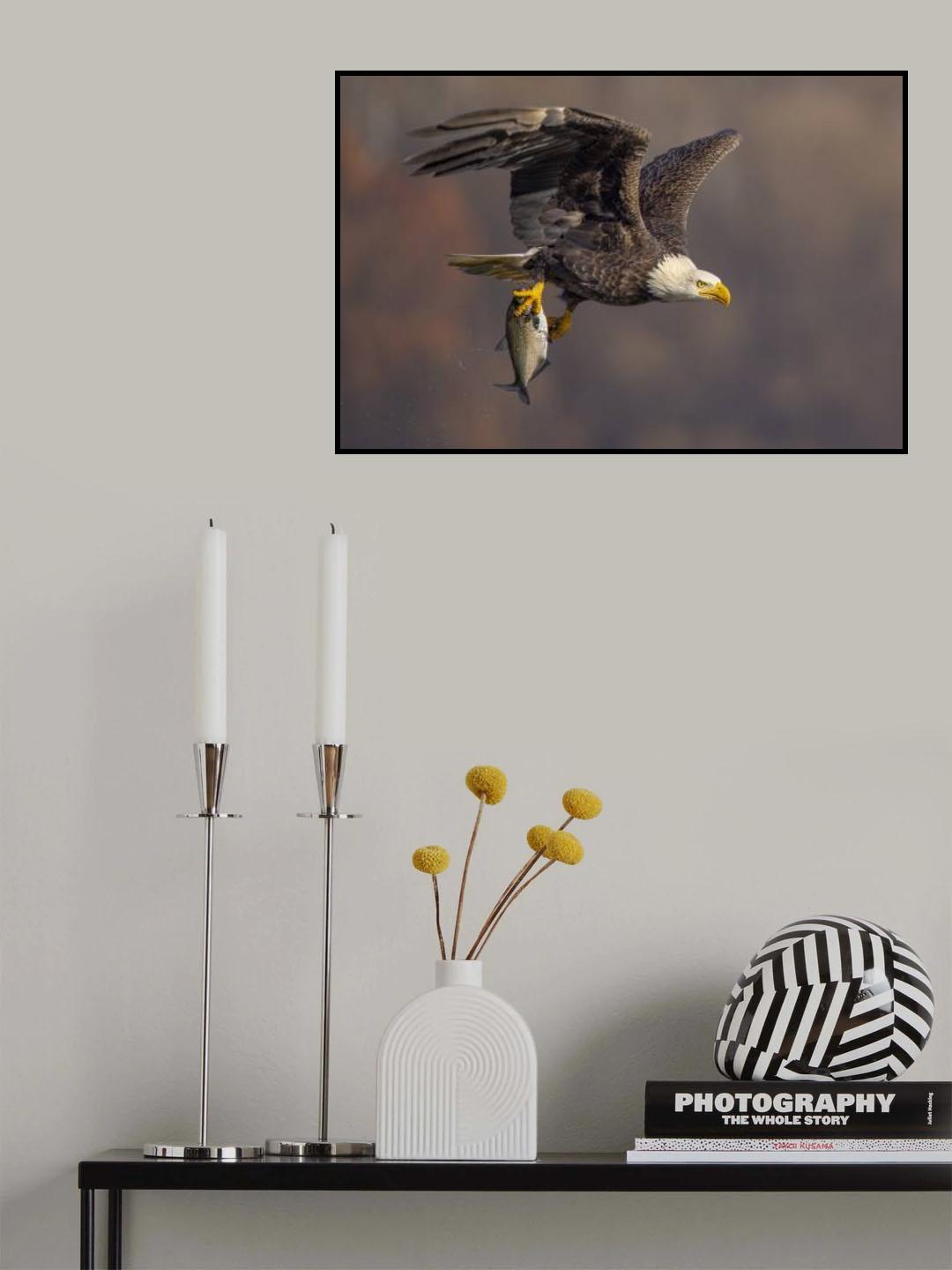 Poster och Canvastavla