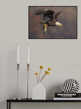 Poster och Canvastavla