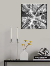 trees standing empty Poster och Canvastavla