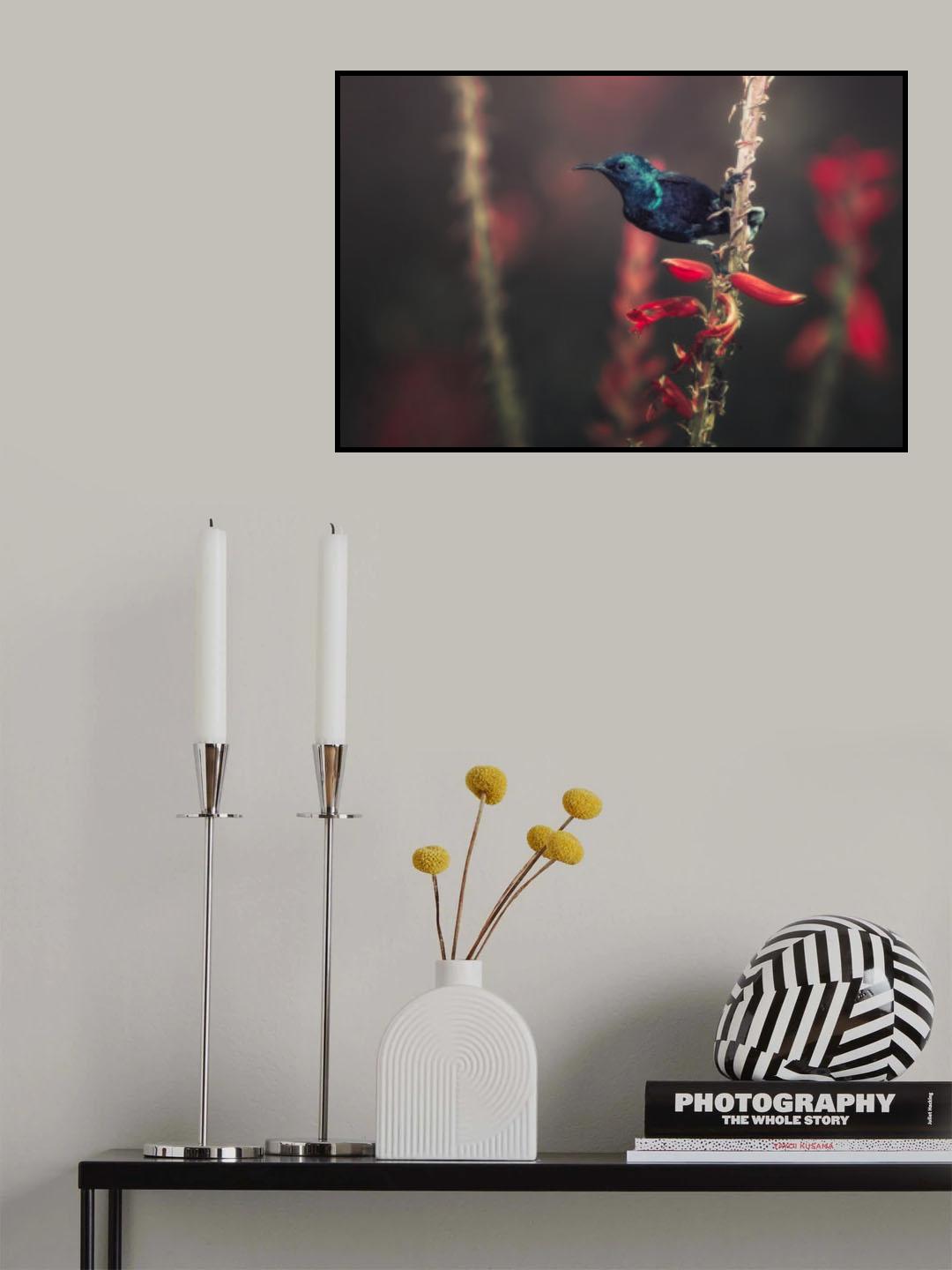 Sunbird Poster och Canvastavla