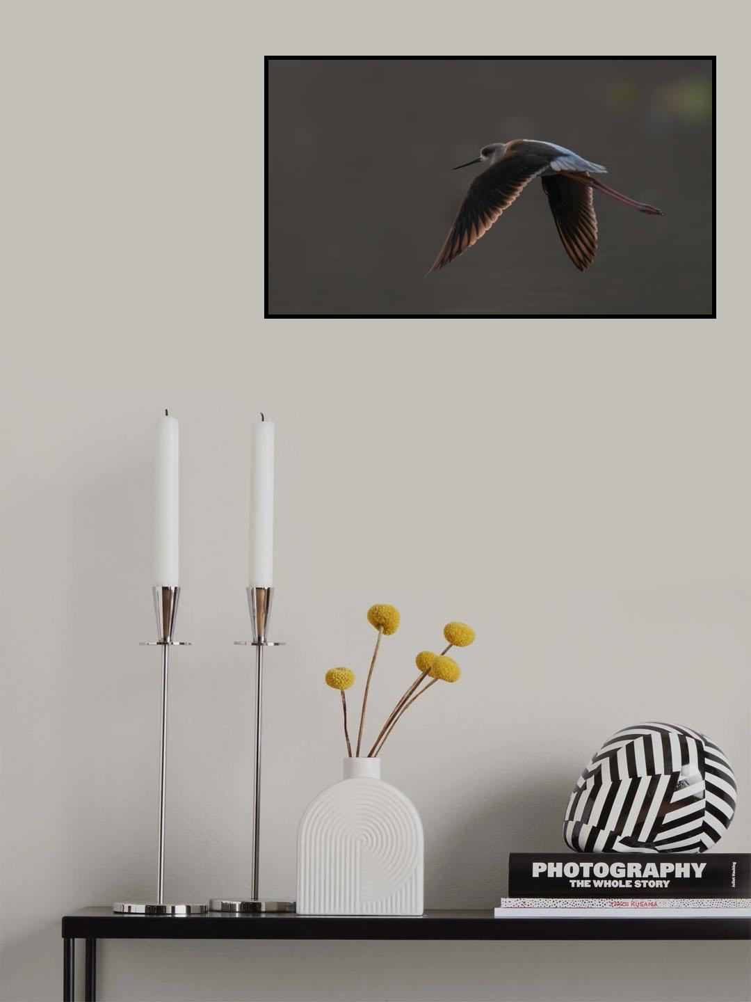 Poster och Canvastavla
