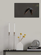 Poster och Canvastavla