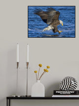 Focused Poster och Canvastavla