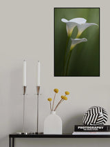 Simplicity and Elegance Poster och Canvastavla