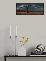 DeadVlei Poster och Canvastavla