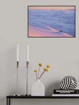 penguins on frozen island Poster och Canvastavla