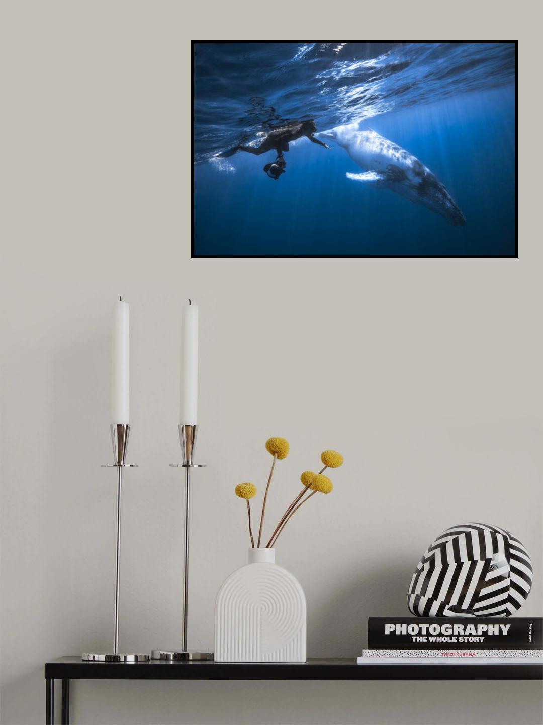 Yann &amp; Whale Poster och Canvastavla
