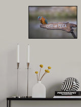 Fishing preserve Poster och Canvastavla