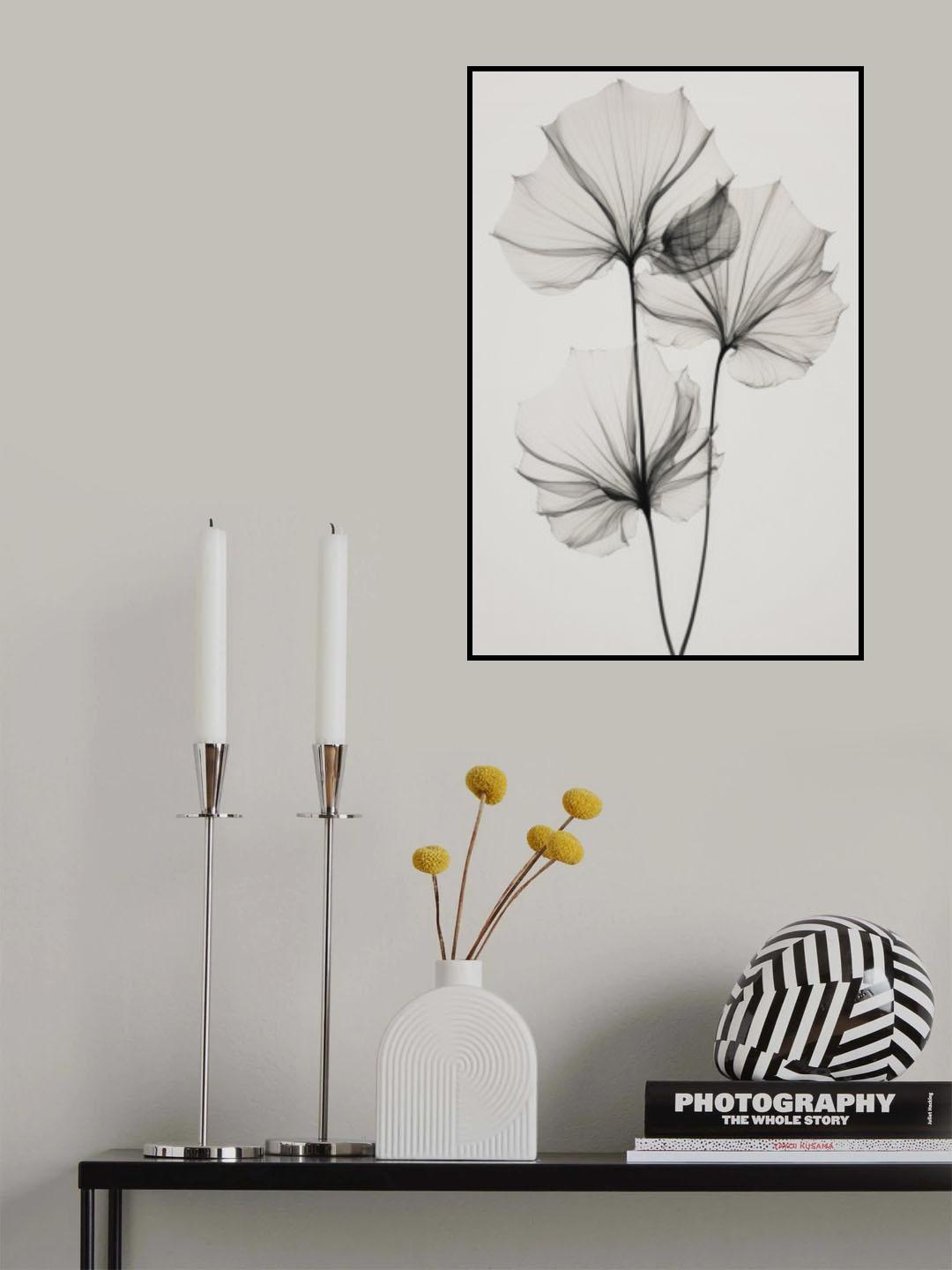 Transparent Botanic No 3 Poster och Canvastavla