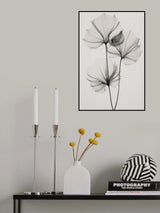 Transparent Botanic No 3 Poster och Canvastavla