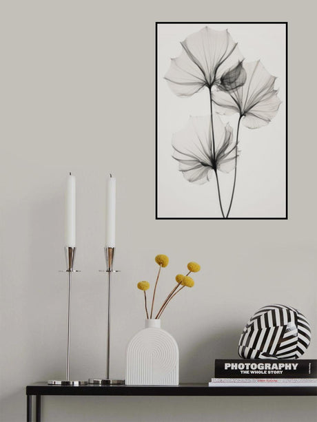 Transparent Botanic No 3 Poster och Canvastavla