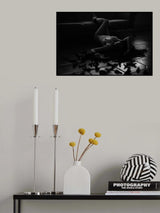 Falling dreams Poster och Canvastavla