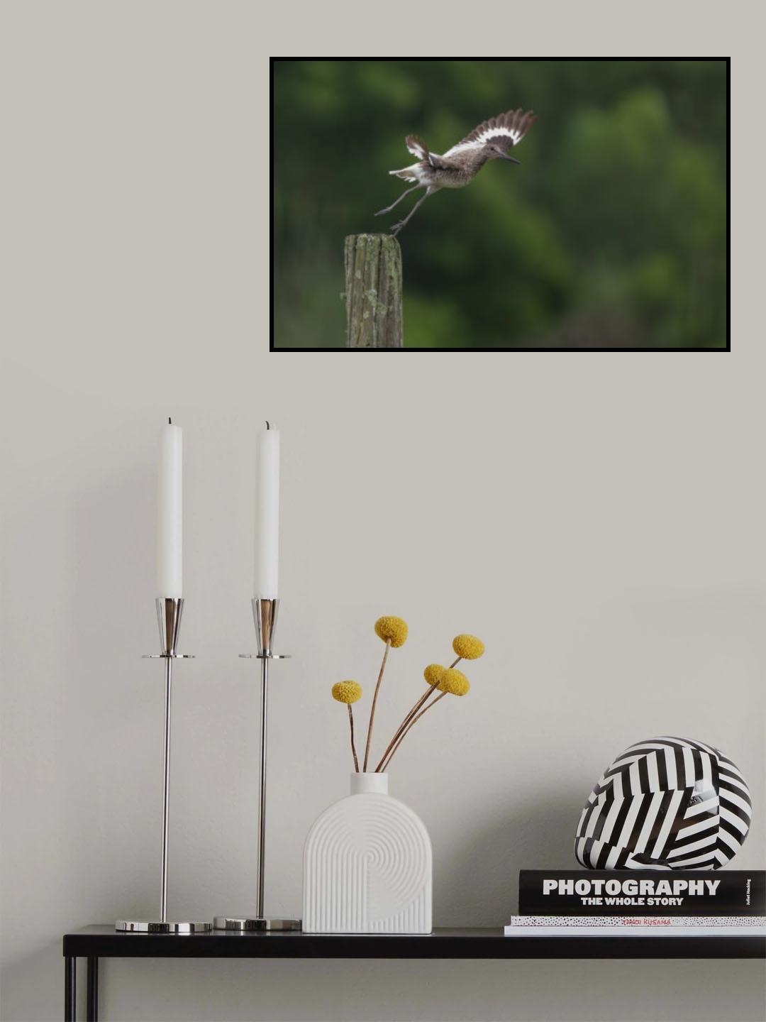 Taking Off Poster och Canvastavla