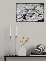 The blooming sea Poster och Canvastavla