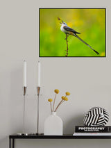 Play with the Prey Poster och Canvastavla