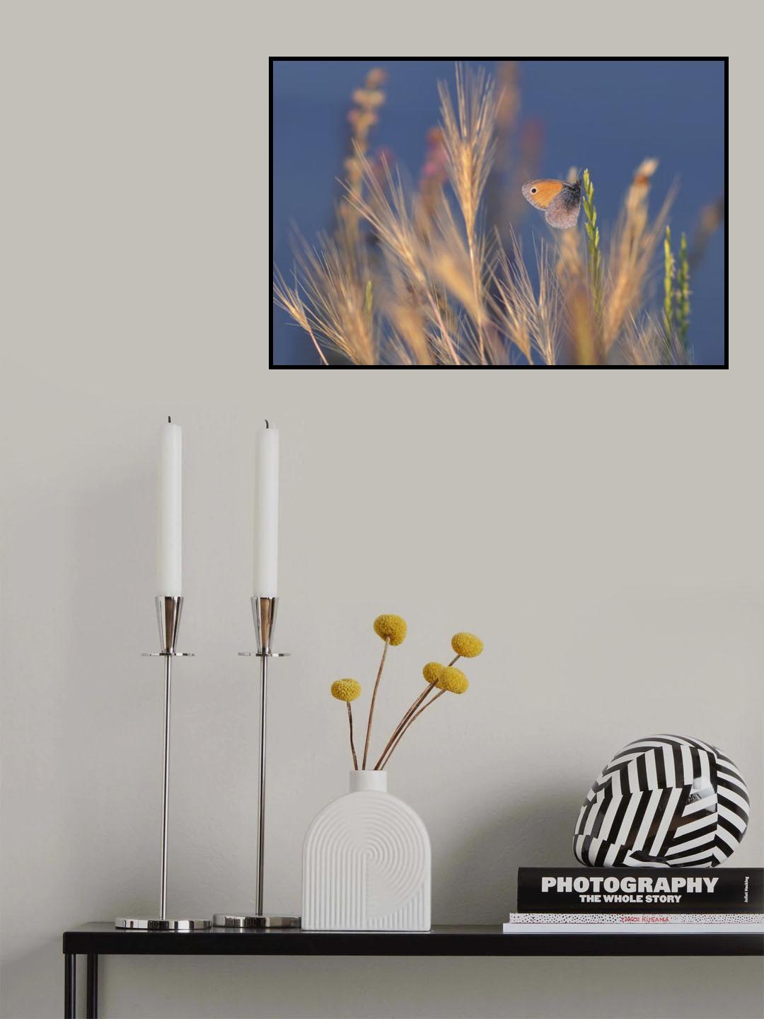 Butterfly world Poster och Canvastavla