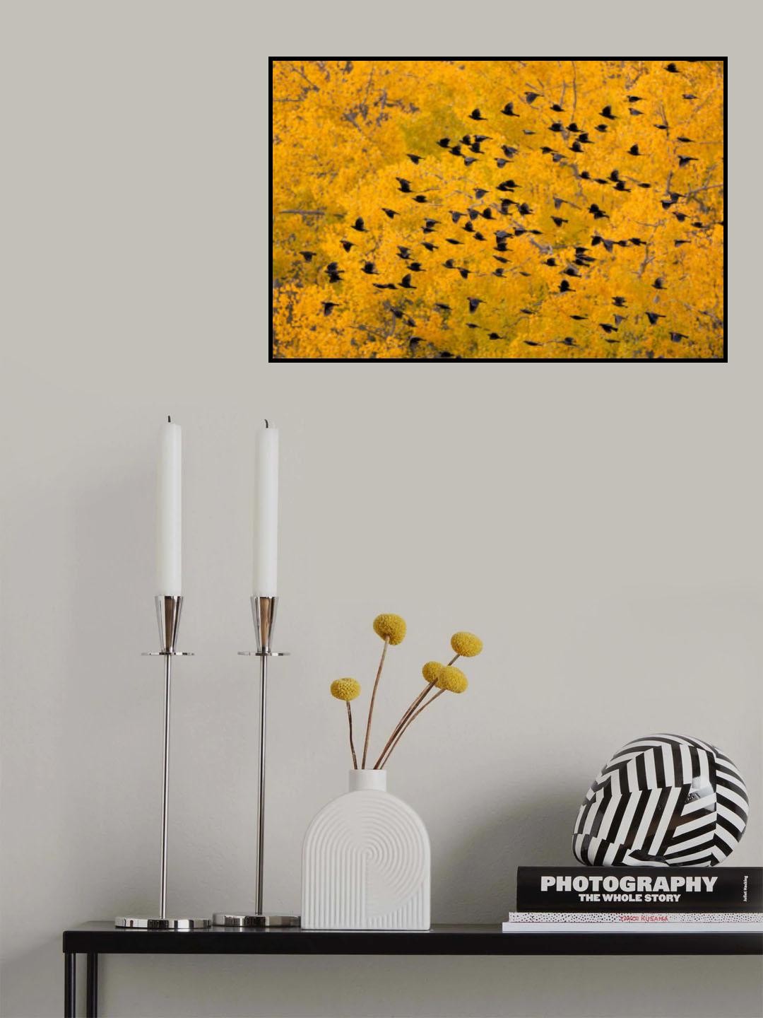 Flying into the Forest Poster och Canvastavla