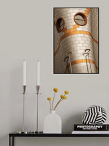 insect Poster och Canvastavla