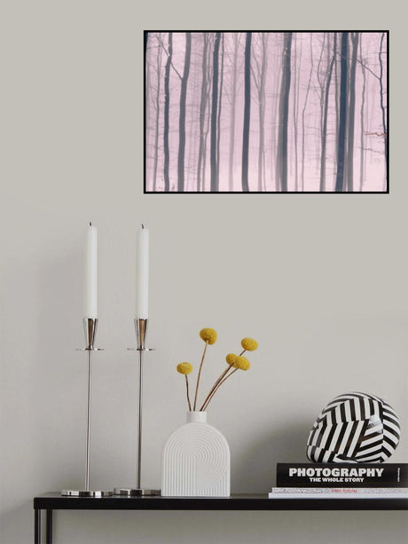 Trees In Forest 15 Poster och Canvastavla