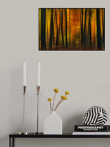 Autumn falls Poster och Canvastavla