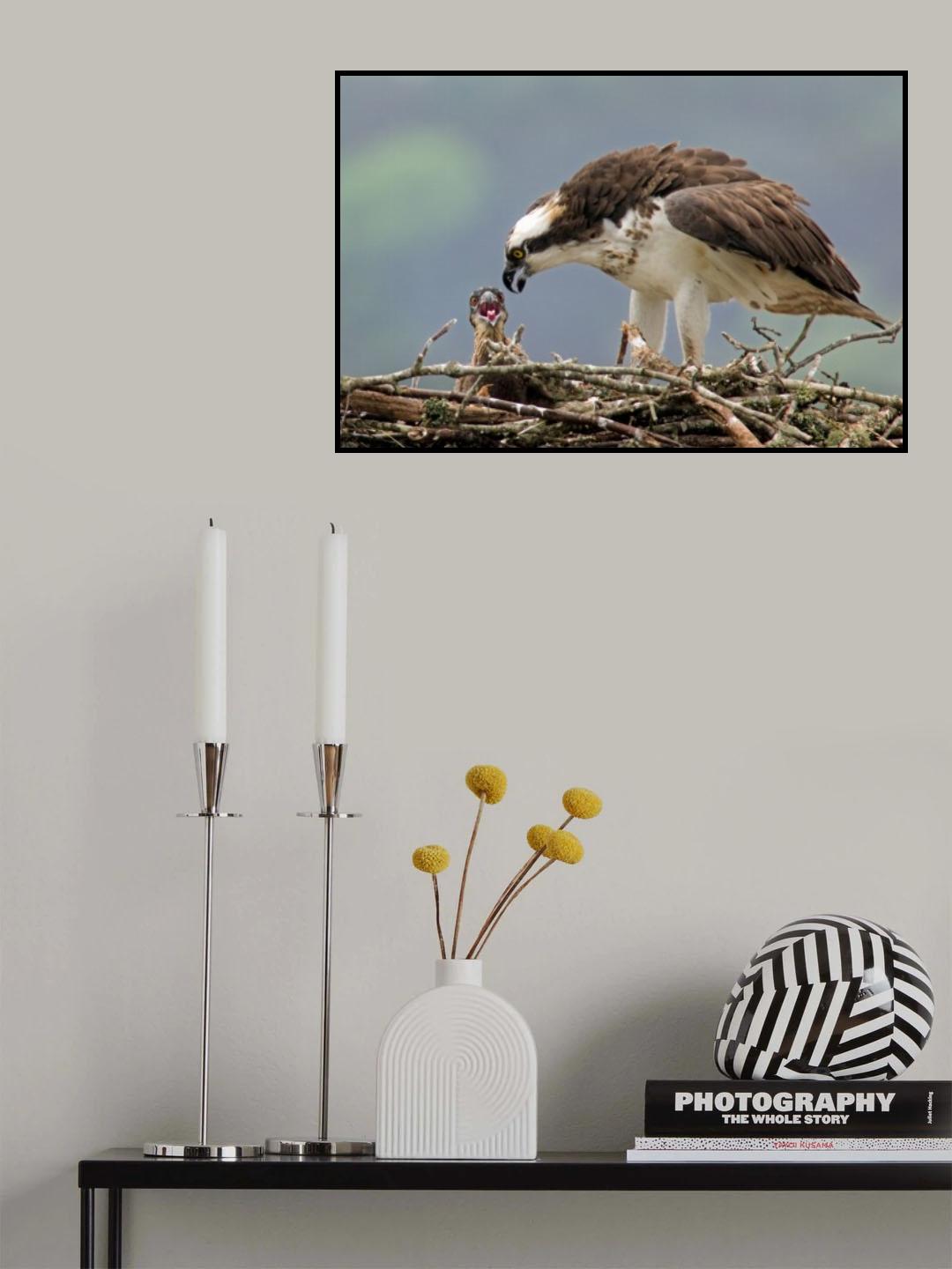 Feed Me! Poster och Canvastavla