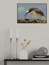 Feed Me! Poster och Canvastavla