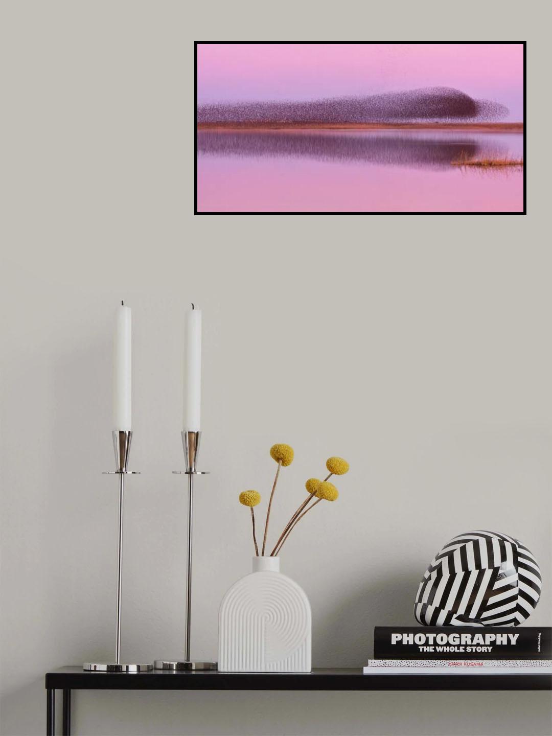 Stormo riflesso Poster och Canvastavla