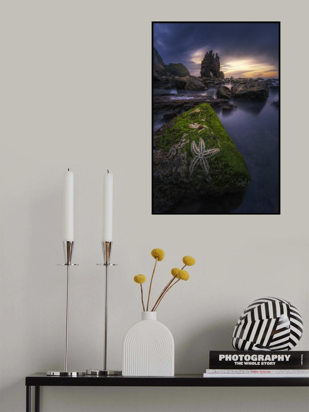 The Starfish Poster och Canvastavla