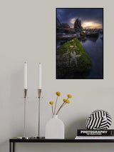 The Starfish Poster och Canvastavla