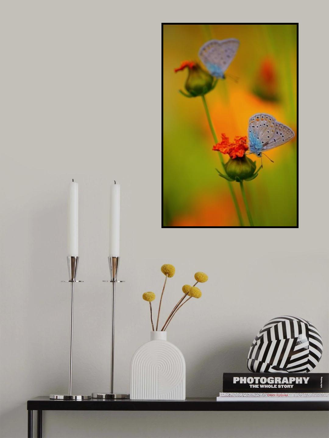 butterfly Poster och Canvastavla