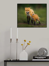 Mom, I go with you Poster och Canvastavla
